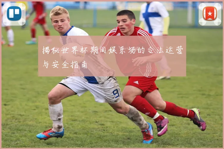 揭秘世界杯期间娱乐场的合法运营与安全指南