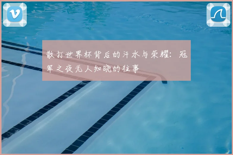 散打世界杯背后的汗水与荣耀:冠军之夜无人知晓的往事