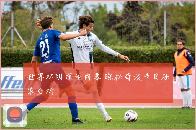 世界杯阴谋论内幕 晓松奇谈节目独家分析