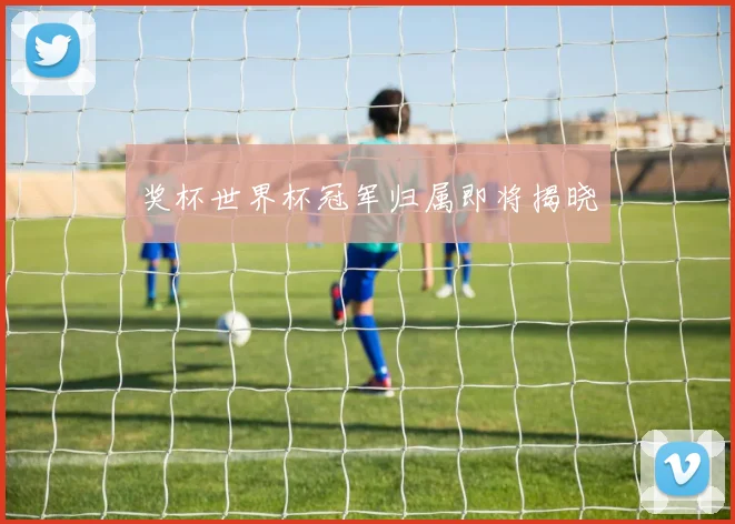 奖杯世界杯冠军归属即将揭晓